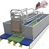 /product-detail/pig-farming-equipment-sow-cages-pig-farm-farrowing-crate-60769570501.html
