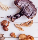 Healthy Mushroom Coffee Weight Loss Instant Caffeine Powder mushroom coffee ganoderma