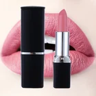 Wholesale Waterproof Private Label Lipstick Matte Custom 50 Colors OEM Nude Lipstick