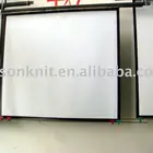Projection Screen Banner