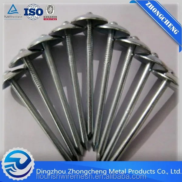 Alibaba site Plastic Washers For Roofing Nails Buy Plastic Washers