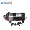 Whaleflo DP-160 160psi mini high pressure electric diaphragm pump for car washer