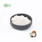 Bulk price Coconut Milk Juice Powder