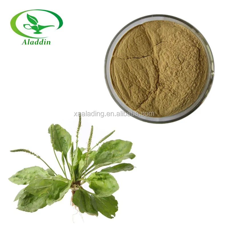 plantain seed p.e./plantago seed p.e