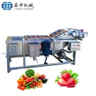 Industrial Vegetable Mushroom Ginger Onion Cleaning Processing Dates Pepper Potato Washer Fruit Washing Drying Machine