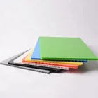 Plastic Honeycomb PP Hollow Sheet Coroplast Board Correx Corflute Sheet