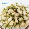 Fresh 100% natural best price Chinese Tea dried jasmine flowers