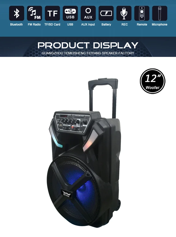 FEIYANG TEMEISHENG Newest private rechargeable trolley speaker 12inch for promotion - ANKUX.COM