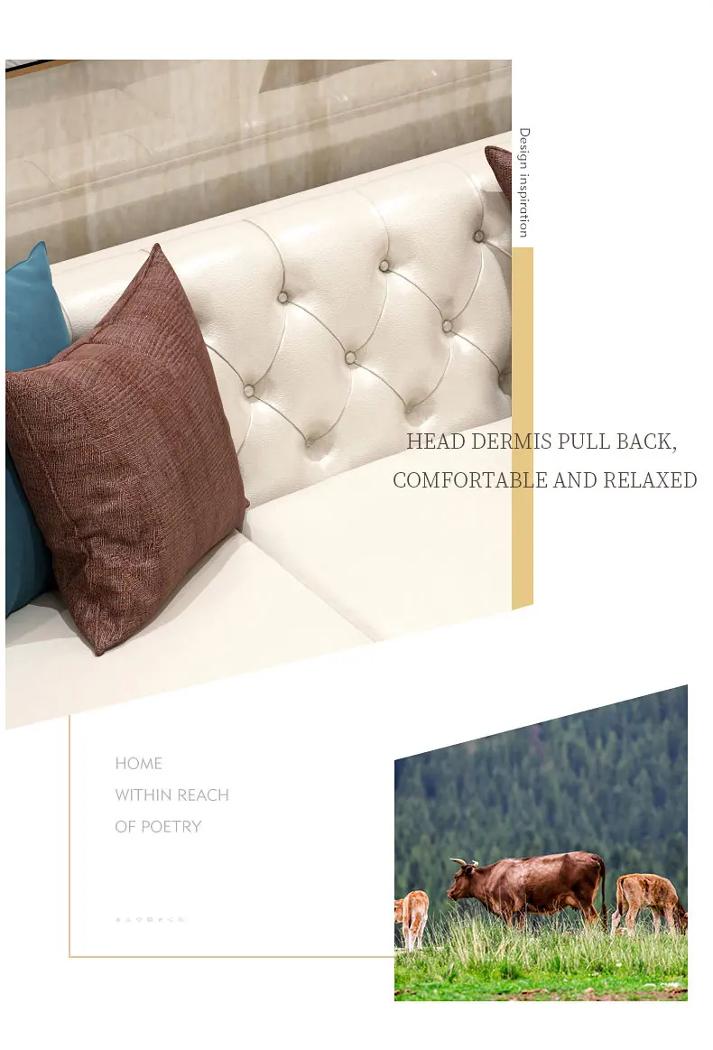 Modern Leather Upholstered Sofa Couch for the Living Room With Golden Stainless Steel Metal Leg Base