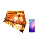 China factory cheap antibacterial custom logo mobile phone screen microfiber cleaning cloth for sale