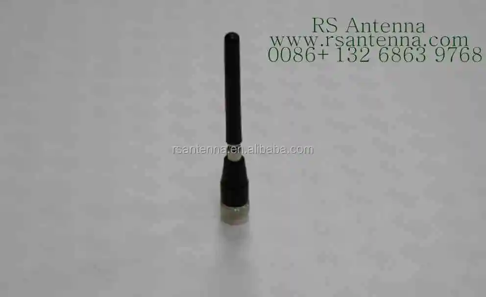 P16.jpg