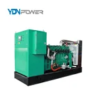 Biogas Generator Biogas Generator 150KW Biogas Generator Price