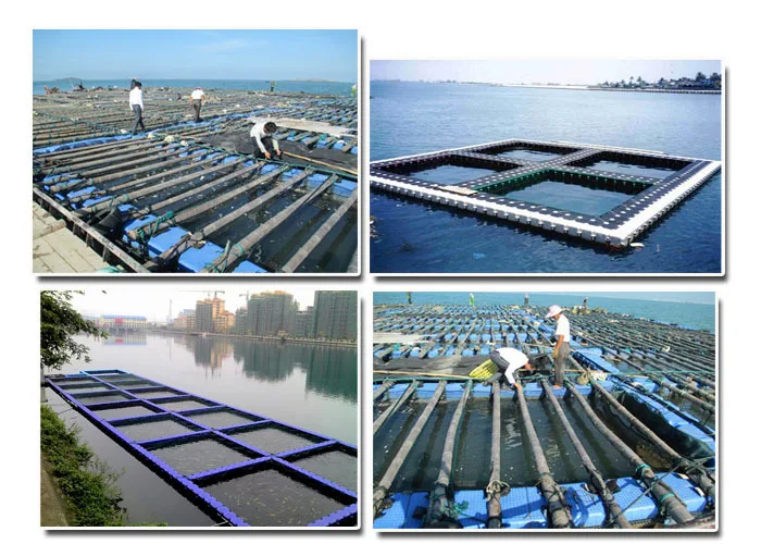 New Style Durable Tilapia Fish Floating Cage Buy New Style Durable Tilapia Fish Floating Cage