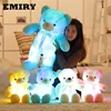 /product-detail/factory-direct-sale-led-teddy-bear-50cm-plush-toy-30cm-75cm-led-light-up-teddy-bear-60831240322.html