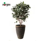 Color Pot By Customized Pot Large Pot Oem Color Large Garden Decoration Flower Pot