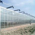 insulated glass greenhouse panels greenhouse used for rose