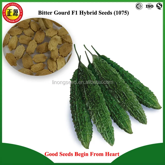 linong seeds bitter gourd