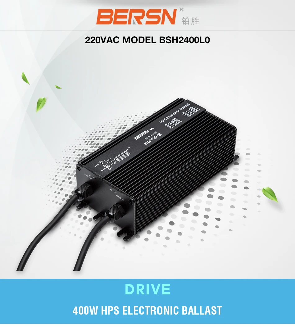 400w hps ballast 1.jpg