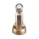 Goodwind handheld facial SPA galvanic salon beauty equipment CM-2
