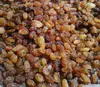 high quality hot sale bulk best quality sultana raisin price