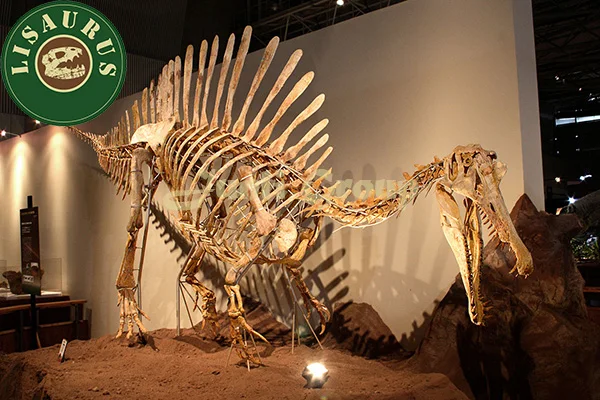 life size dinosaur skeleton replicas for sale