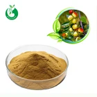 Wild Jujube Seed Jujuba Extract Jujuboside A+B 1%