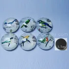 Customized Souvenir Dome Glass Magnet,Button Glass Fridge Magnets Bird