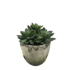 Green Succulent Artificial House Plants White Ceramic Pots Home Office