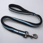 Best Selling Outdoor Bungee Dog Leash Improved Dog Safety and Comfort Nylon Material