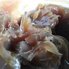 Industrial Lubricants Grease - Calcium MP 2 MP 3 , Lithium Grease EP 2 EP 3 supplier