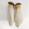 Fresh King Oyster Mushroom/Pleurotus eryngii/Fresh mushroom