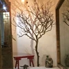 Height 2 m and Width 1.8 m For Wedding and Home Decoration Artificial Dry Tree
