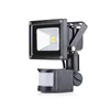 Factory Low Price Outdoor 10W LED Flood Light Camera with PIR Motion Sensor AC 110V 220V DC 12V 24V Garden Floodlight Lamp