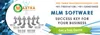 Buy MLM network marketing software and complete E-commerce web solutions