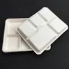 /product-detail/disposable-biodegradable-bagasse-5-compartments-lunch-tray-60300276156.html