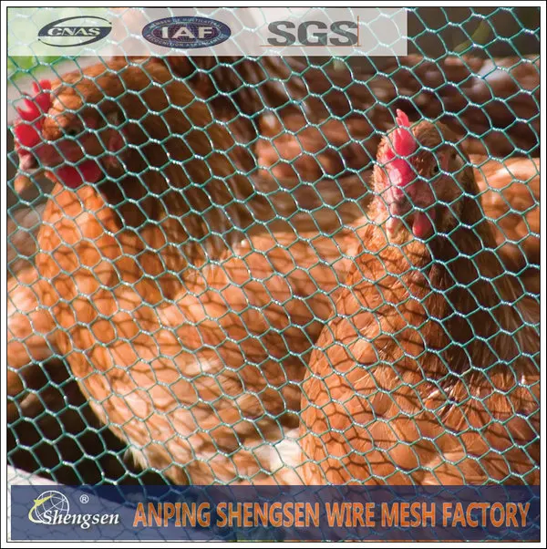 galvanized chicken wire mesh