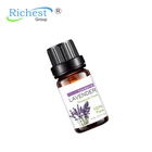 Health Care Product Pure and Organic Lavender Aromatherapy Essential Oil 10ml Private Label