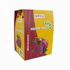 Factory direct sales custom printed handle fruit vegetable packaging carton box
