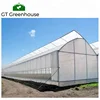 /product-detail/gt-china-tropical-greenhouse-plastic-greenhouse-with-strawberry-cultivation-tray-60798704397.html