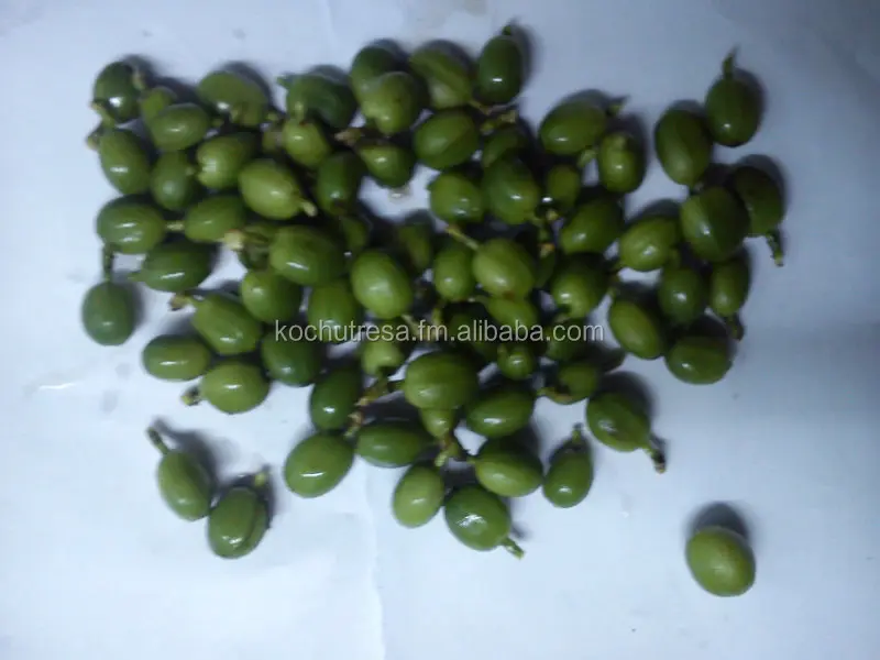 indian vegetable and fruit seeds -vigna ungiculata/ /ash groud/pumkin/bittergroud/ lady finger/green chilly/snake groud/amaranth