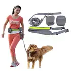 Nylon Bungee Hand Free Dog Leash, Running Dog Leash With Pet Treat Bag
