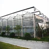 Large-scale Agriculture Greenhouse Covered With Tempered Glass For Soil-less Culture
