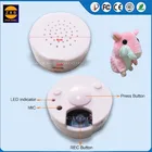 Custom sound recording chip for voice chip recognition toy