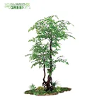 ALL SEASON GREEN BONSAI FICUS BIG TREE