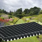 Cheap PS/PVC Black 1mm Nursery Vegetable Plant Tray