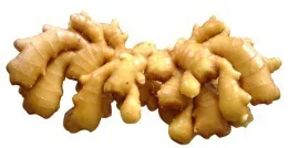 OULENO Small garlic ginger garlic mashed garlic machine machine cutter small household cooking machine Qiecai mashed garlic saus