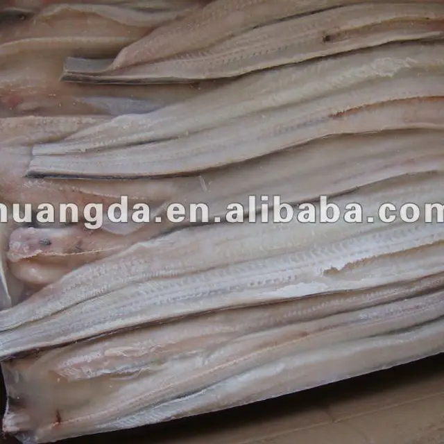 conger eel fillet