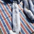 Factory price animal skin 100% real tanned Fox Fur wholesale blue Fox Fur pelt for sale