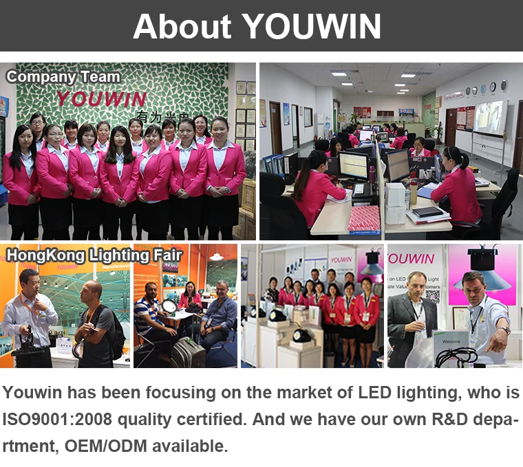 Hot Sale IP65 Waterproof Garden Night Light 6W Motion Sensor Solar LED Outdoor Wall Light