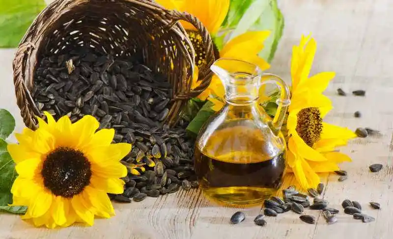 Small sunflower seed oil cold press machine